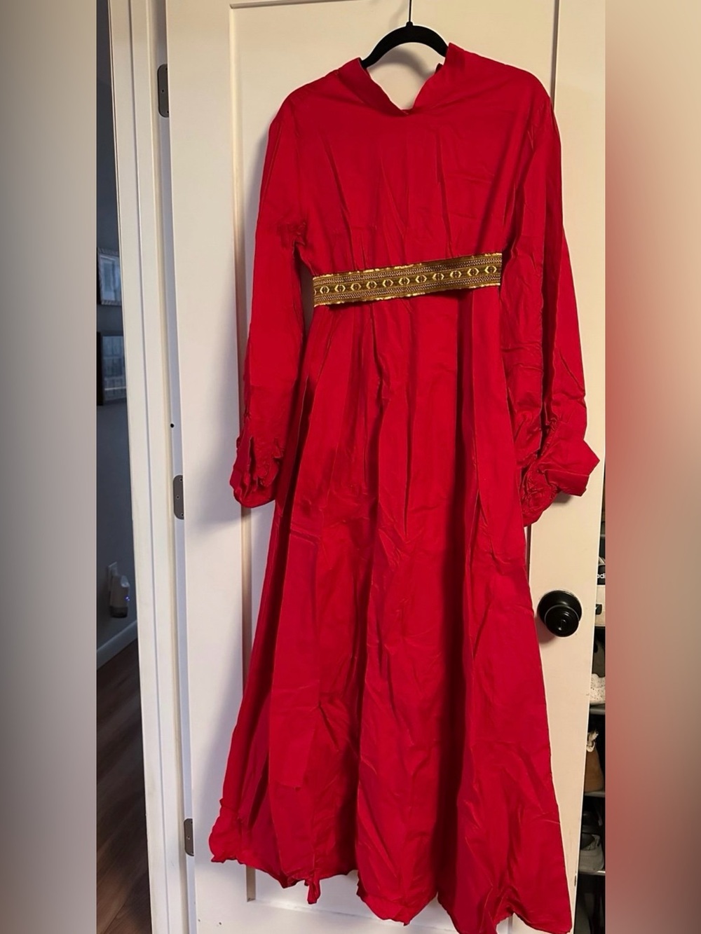 The Princess Bride Red Dress Buttercup
Officially Licensed Costume wig M/L Puff